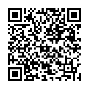 他不禁又回忆起他父亲小时候做饭菜给他吃的画面二维码生成