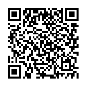 他不认为饿上几顿就能把她那对大馒头给饿小了二维码生成