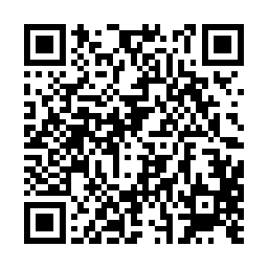 他不记得自己有过多少次到影院看恐怖片的经历了二维码生成