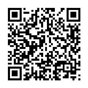 他与星界出身的诸多大帝完全可以借助星界来修行二维码生成