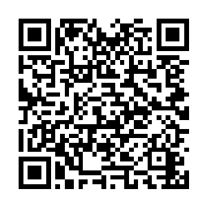 他与那双铜铃般大的眼睛对上之时还有些遍体生寒二维码生成