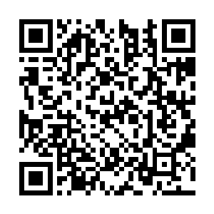他中午的时候是不是真的能吃下去所谓的红烧排骨二维码生成