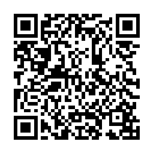 他丹田中的那一紫一青两道光点掠夺的能量实在是太多了二维码生成