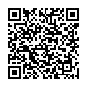 他为什么就不把她跟那些女人一样变成他的女人呢二维码生成