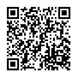 他之前在蒲百雄和小蘑菇的指引下去寻那葫芦藤二维码生成