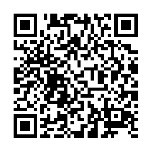他之前未曾想过还能遇上这位自离开后便闲云野鹤的师父二维码生成