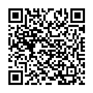 他之前还认为夏天这么大的一个天才会死在这了呢二维码生成