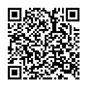 他之所以可以指挥的动道协的人拦住包老和范老二维码生成