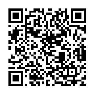 他之所以敢跟我在兵线里周旋就是因为小鱼人的被动你们知道吗二维码生成