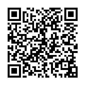 他之所以让黄阿毛那些人在非凡集团召开新闻发布会的时候二维码生成