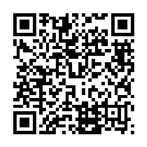 他也不会当着所有人的面这样质问珍妮弗来撇清责任二维码生成