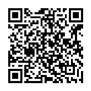 他也不可能一路那么顺利的抢掠了十三部水族的宝库二维码生成