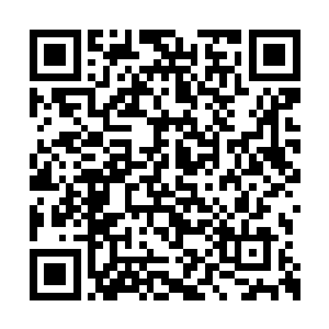 他也不可能不收回这些含有他元神之力的碎玉了二维码生成