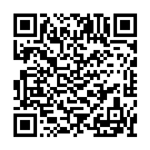 他也不可能为了营救苗铮这一件事情就不管其它二维码生成