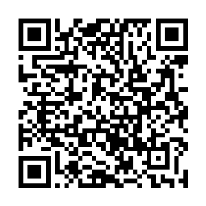 他也不可能因为一个苗坤生一上来就和付新恒闹矛盾二维码生成