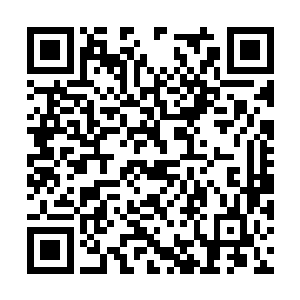 他也不想冒这个险得到那个什么没有听说的技能啊二维码生成