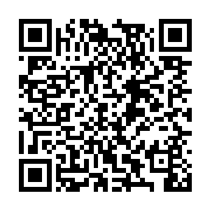 他也不知道笙子墨如何在毒窟里找到那个毒死士的二维码生成