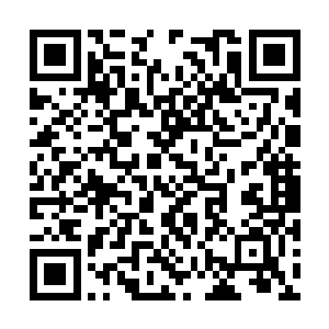 他也不能火上浇油地说什么想要暗中把骆千秋干掉二维码生成