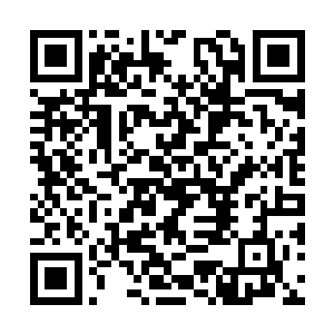 他也不觉得楚旬等人有可能在这种情况下威胁到他二维码生成
