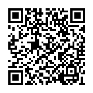 他也不认为自己的职业能够给自己带来什么特权二维码生成