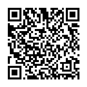 他也会通过大卫来遥控――这种情况也几乎不会出现二维码生成