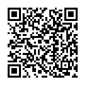 他也只是搜罗了其中的一部分……至于小岛的深处二维码生成