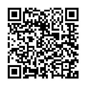他也只是知道青鸿老人属于一个真正修炼长生之道的世外门派二维码生成