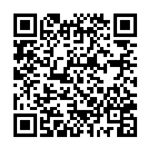 他也只能硬着头皮连续施展自己所剩无多的一环法术二维码生成