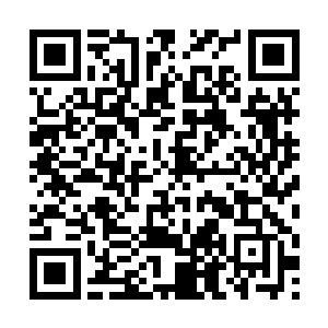 他也奇怪为何会有这么多人知道今天是他辩罪的日子二维码生成