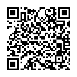 他也很难在折返后追到身在岛屿另一端的幸存者了二维码生成