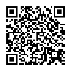 他也懒得用精神力去项链的空间内去一件件的探查有些什么东西二维码生成