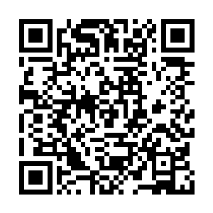 他也打算把之前森罗万象里面那些灵一起叫出来二维码生成