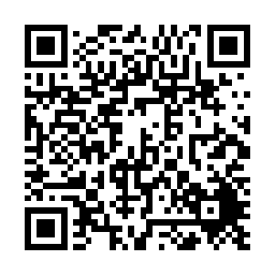 他也时不时的翻下热成像夜视仪观察迷雾中左侧的灌木丛二维码生成
