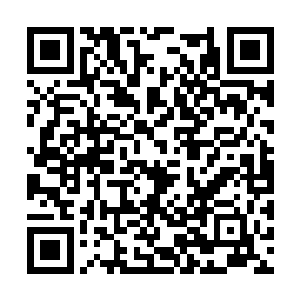 他也明白胡莲利用那个白角女人目的不是为了苏门二维码生成