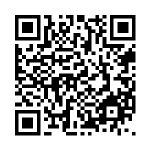 他也是很看不上曹无伤那种试图左右逢源二维码生成