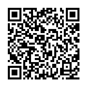 他也是目前为止唯一在夏季赛上拿过五杀的选手二维码生成