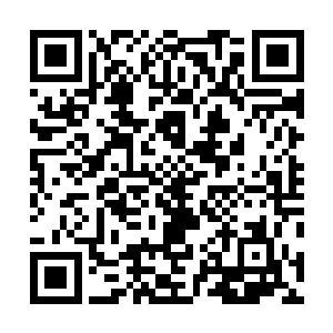 他也是盯上了对面的那只狡猾异常的幻天妖狐了……当然二维码生成