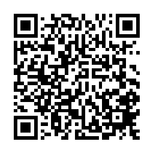 他也是相当看重的……否则也不会拼命冲击至尊境后期的瓶颈二维码生成