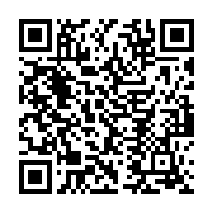 他也是第一次接收到如此错综复杂和包罗万象的信息流二维码生成