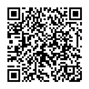 他也是终于开始真正的出手了……刚才释放领域不过是一个小小的开胃菜而已二维码生成