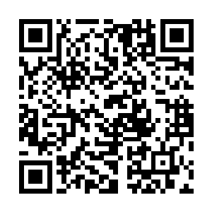 他也没必要帮助对方减少其中数百乃至数千年的进化过程二维码生成