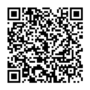 他也没想到之前调动人马的行为竟然会惹得苗毅等人采取这种手段对付二维码生成