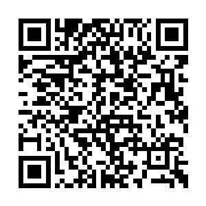 他也没想过去她身上探索有没有四大美女的标志二维码生成