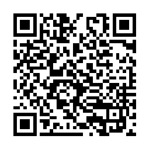 他也没有搞明白为什么白凝冰会忽然成为龙宫之主二维码生成