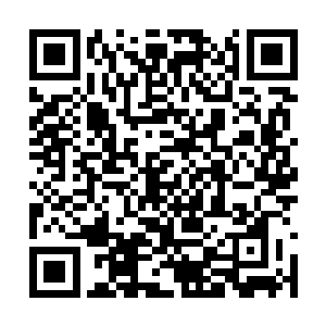 他也没有考虑陈真人会不会捏着鼻子答应天下商盟二维码生成