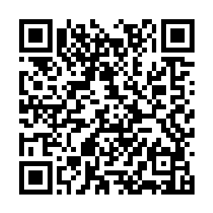他也没有进一步研究先知到底是不是个尼姑的问题二维码生成
