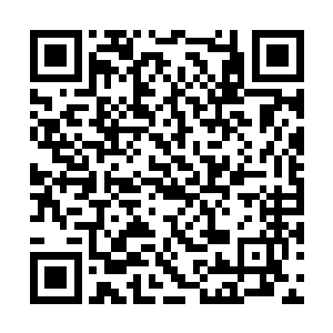 他也清楚方炎需要的局面――方炎愿意为我们付出二维码生成