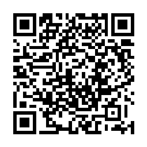 他也的确没有突然暴起战胜这个法国雇佣兵的必胜信心二维码生成