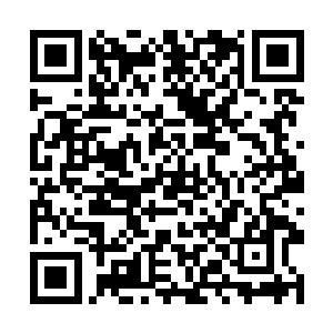他也看出来秦方和季翔之间似乎是达成了什么交易了二维码生成