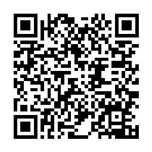 他也知道一些白鳞虎蛟族的白彪大王和吴岩之间的恩怨二维码生成